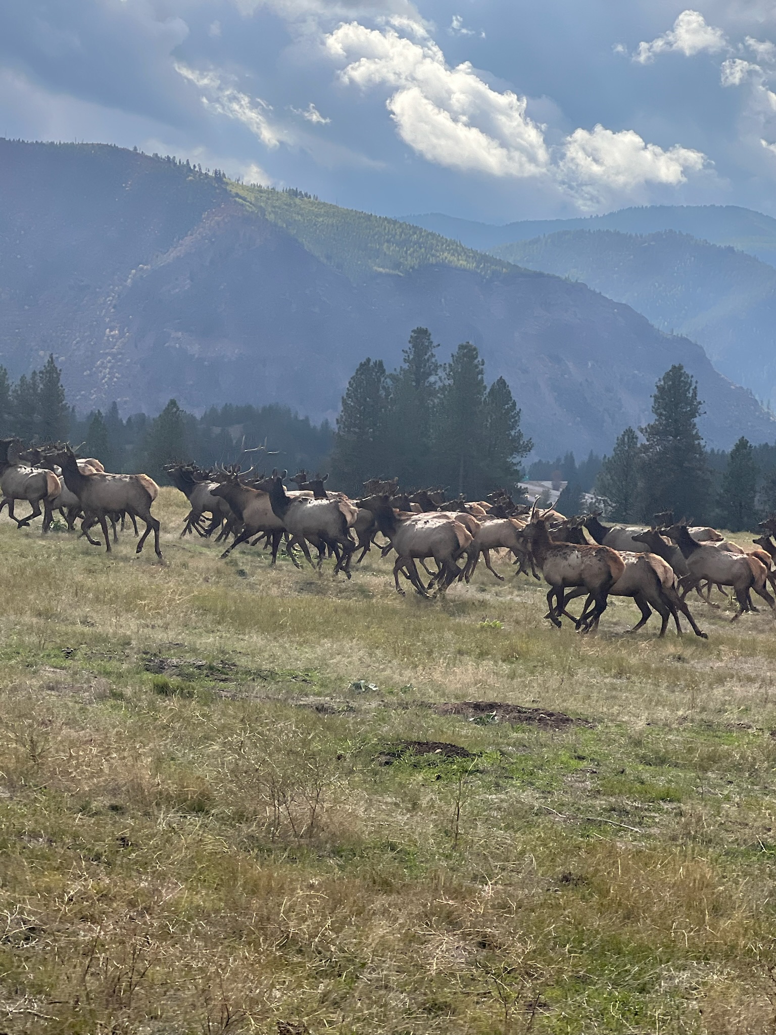Rocky Mountains